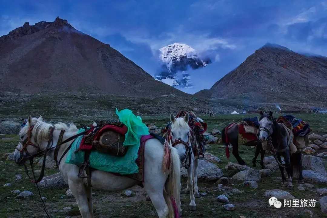 कैलाश पर्वत और घोड़ा कारवां
